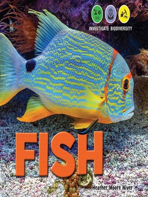 cover image of Fish